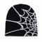 Beanie Spider Web Design