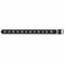 Studded Metal Punk Belt